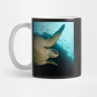 A Green Turtle In Indonesia Mug